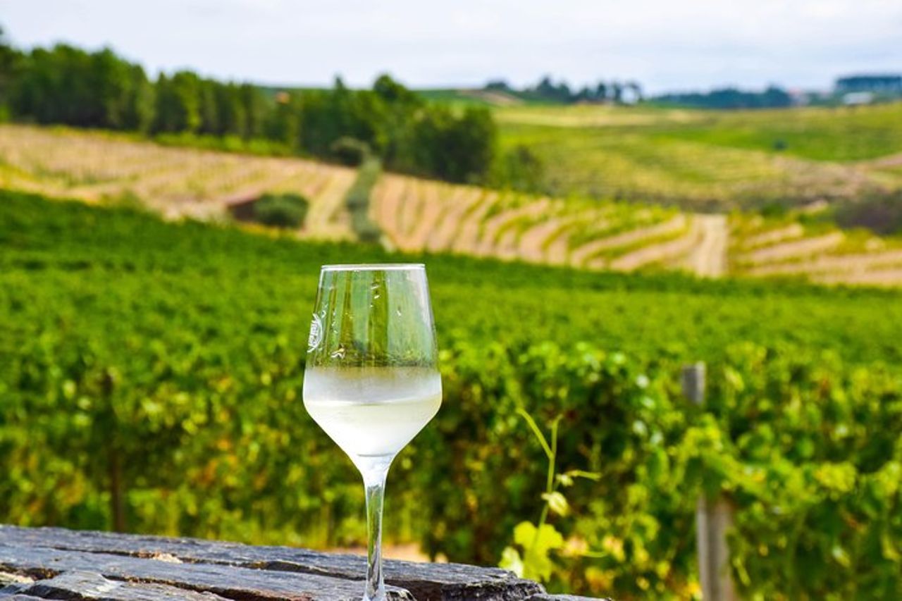 Tour privato premium del Douro: 3 cantine con degustazioni e pranzo — 5