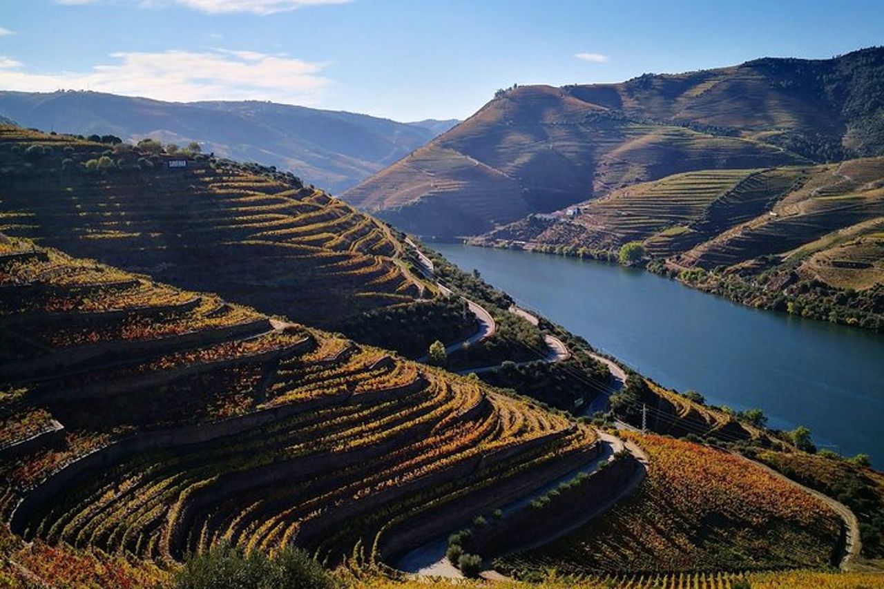 Tour privato premium del Douro: 3 cantine con degustazioni e pranzo — 9