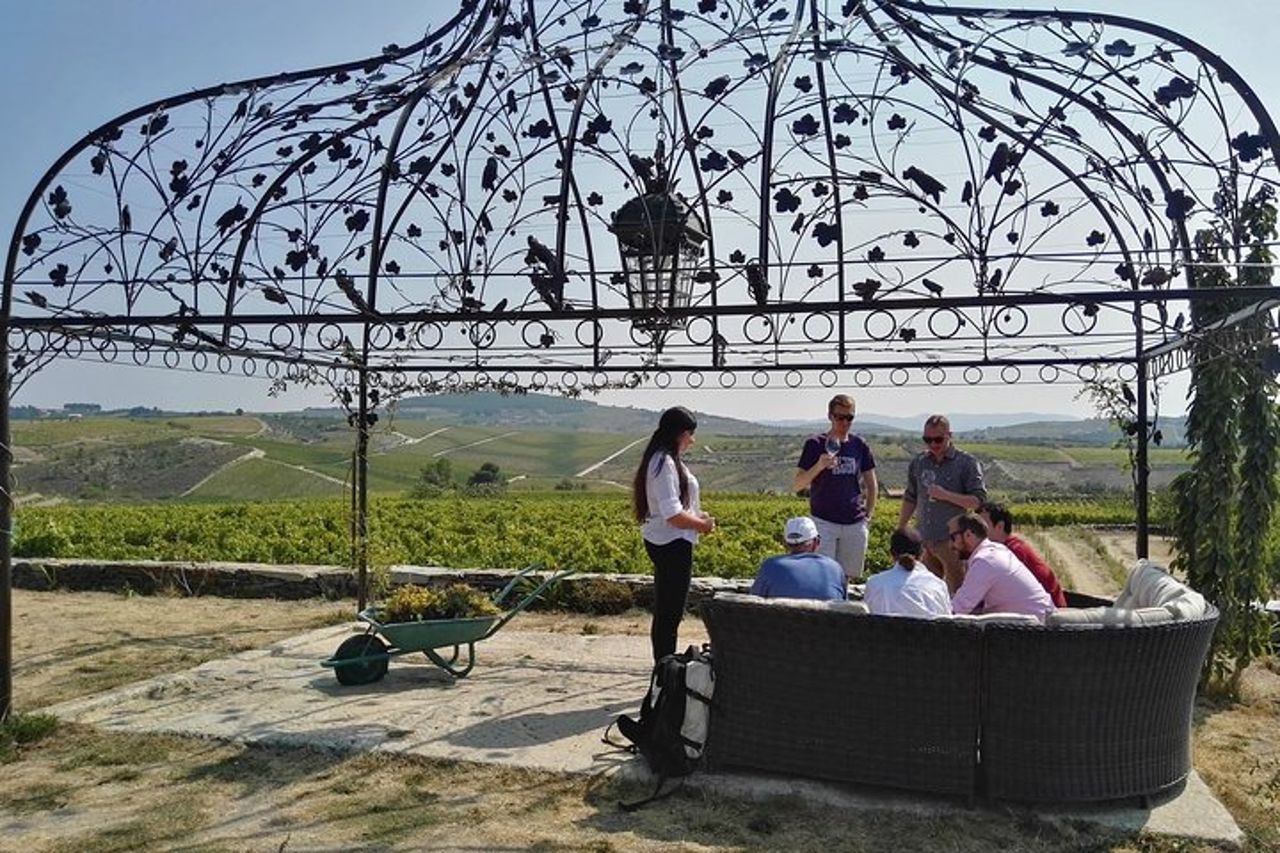 Tour privato premium del Douro: 3 cantine con degustazioni e pranzo — 2