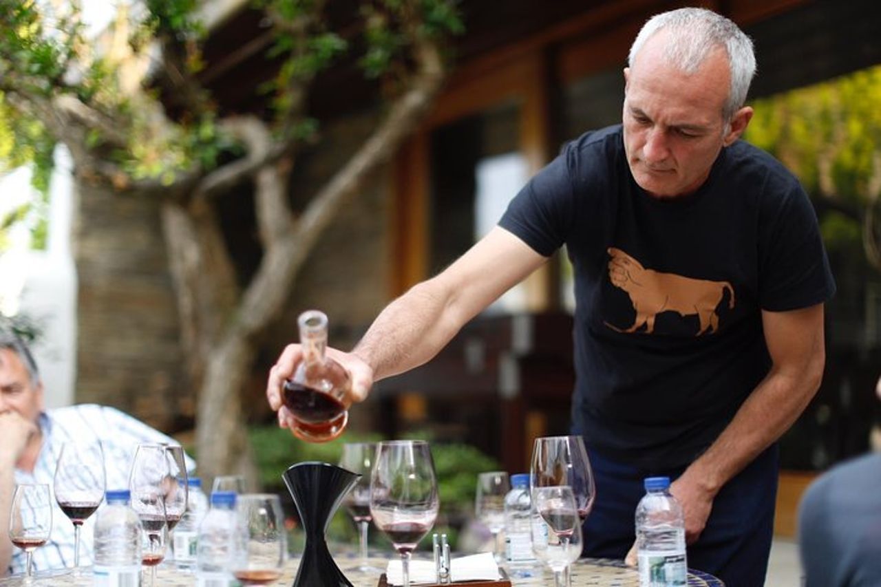 Tour privato premium del Douro: 3 cantine con degustazioni e pranzo — 3