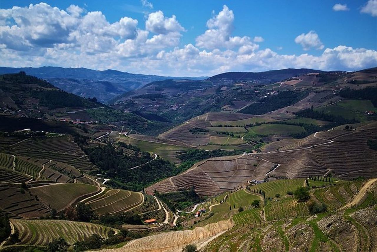 Tour privato premium del Douro: 3 cantine con degustazioni e pranzo — 7