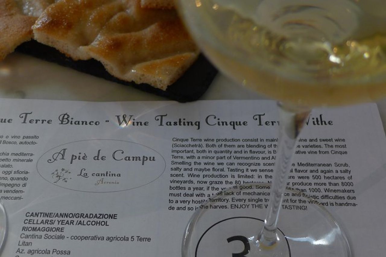 tour dei vigneti e degustazione di vini — 3