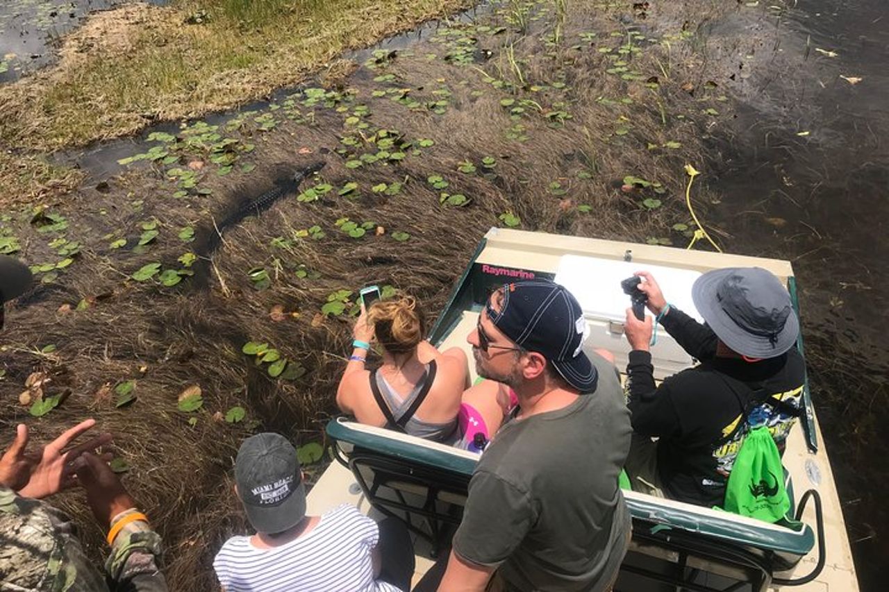 Tour privato in airboat di 1 ora delle Everglades di Miami — 5