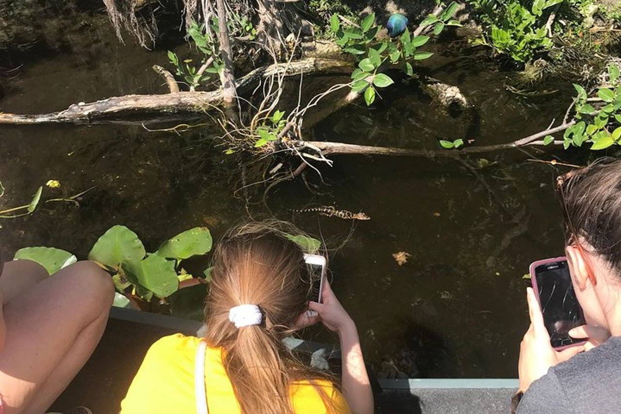 Tour privato in airboat di 2 ore delle Everglades di Miami