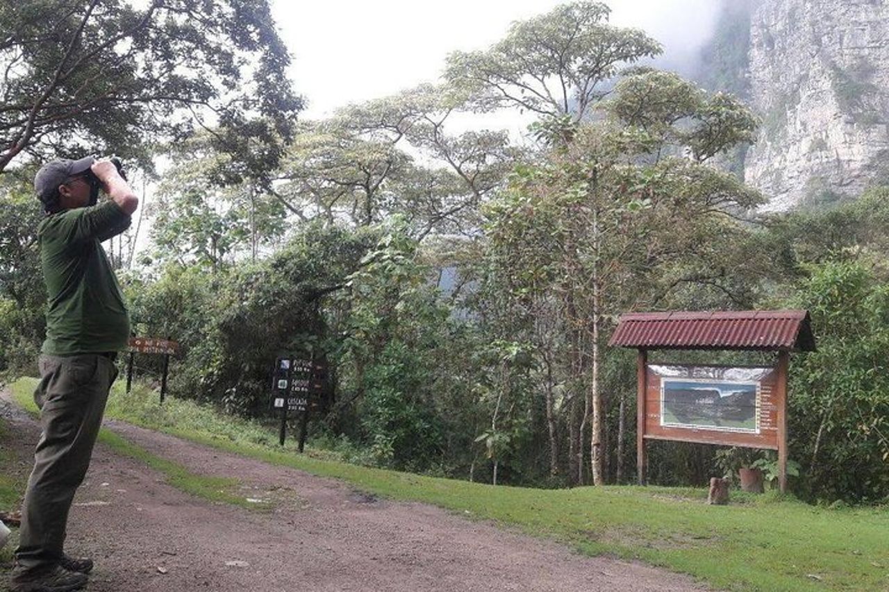 Birdwatching e natura alla riserva naturale della foresta pluviale di Chicaque — 2