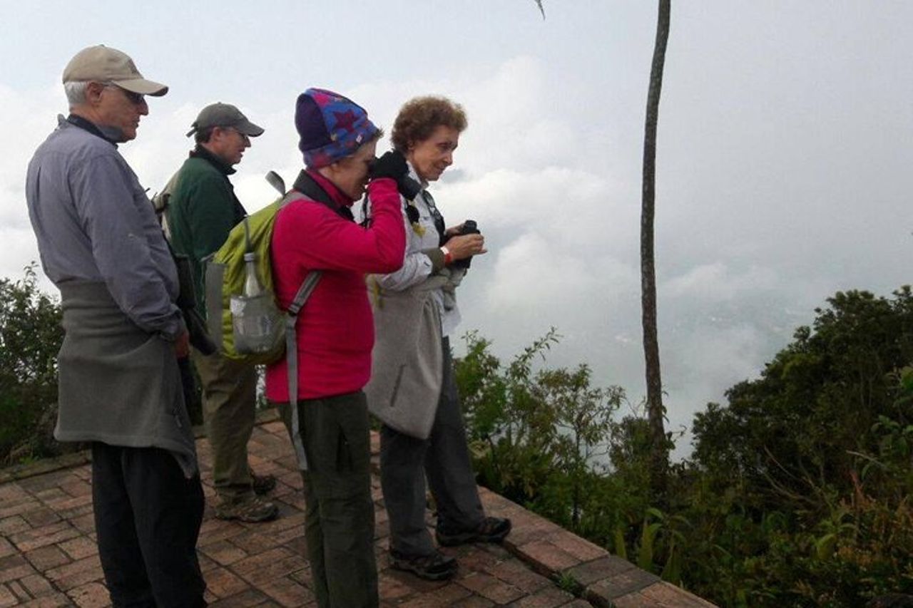 Birdwatching e natura alla riserva naturale della foresta pluviale di Chicaque — 4
