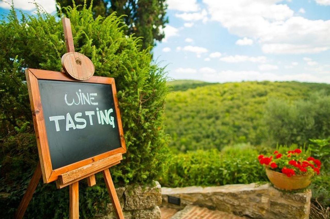 Castelli & Chianti Wine Experience – Piccolo gruppo da San Gimignano — 5