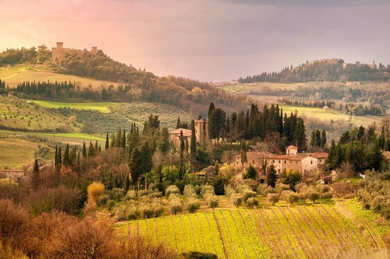 Castelli & Chianti Wine Experience – Piccolo gruppo da San Gimignano — 8
