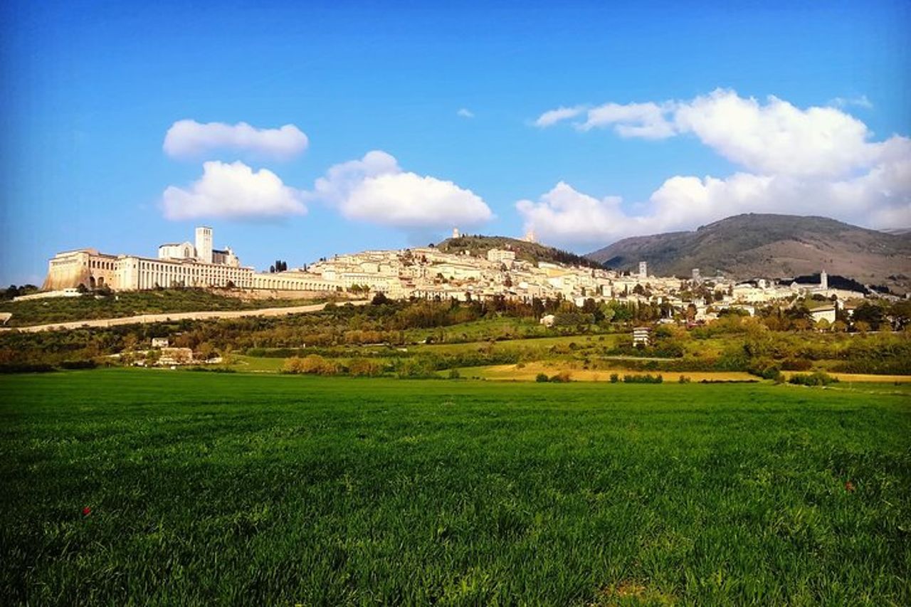 Tour di un'intera giornata a Orvieto e Assisi da Orvieto — 4