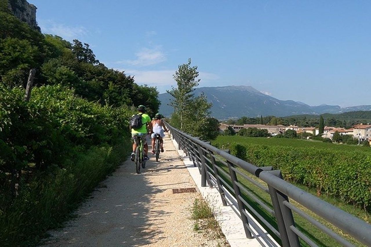 E-Bike Tour e degustazione di vini da Bardolino — 9
