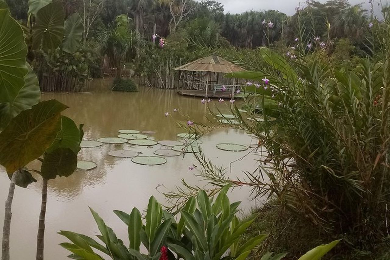 Escursione di un'intera giornata sul Rio delle Amazzoni.
