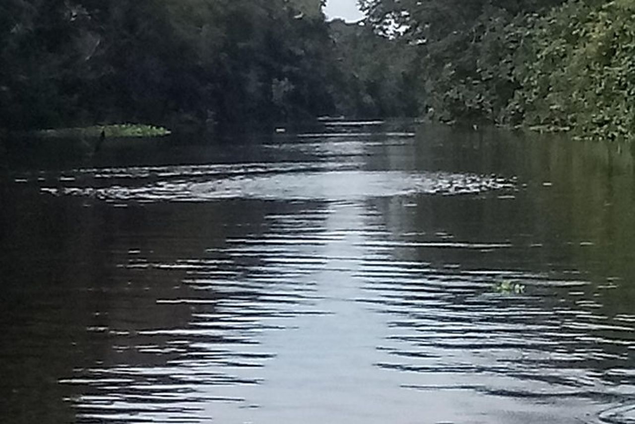 Escursione di un'intera giornata sul Rio delle Amazzoni. — 4
