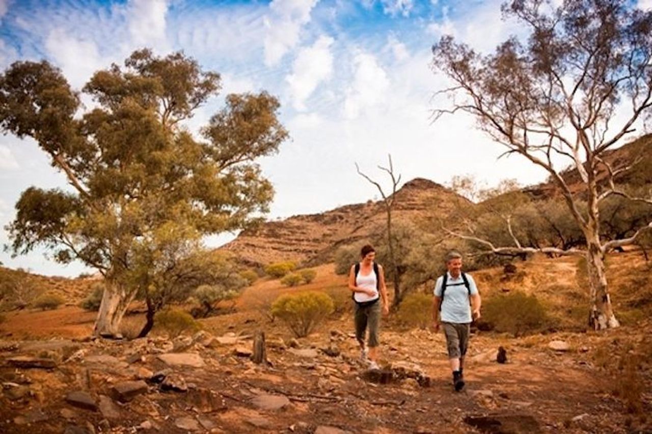 Tour ecologico in fuoristrada di 3 giorni per piccoli gruppi di Flinders Ranges da Adelaide — 2