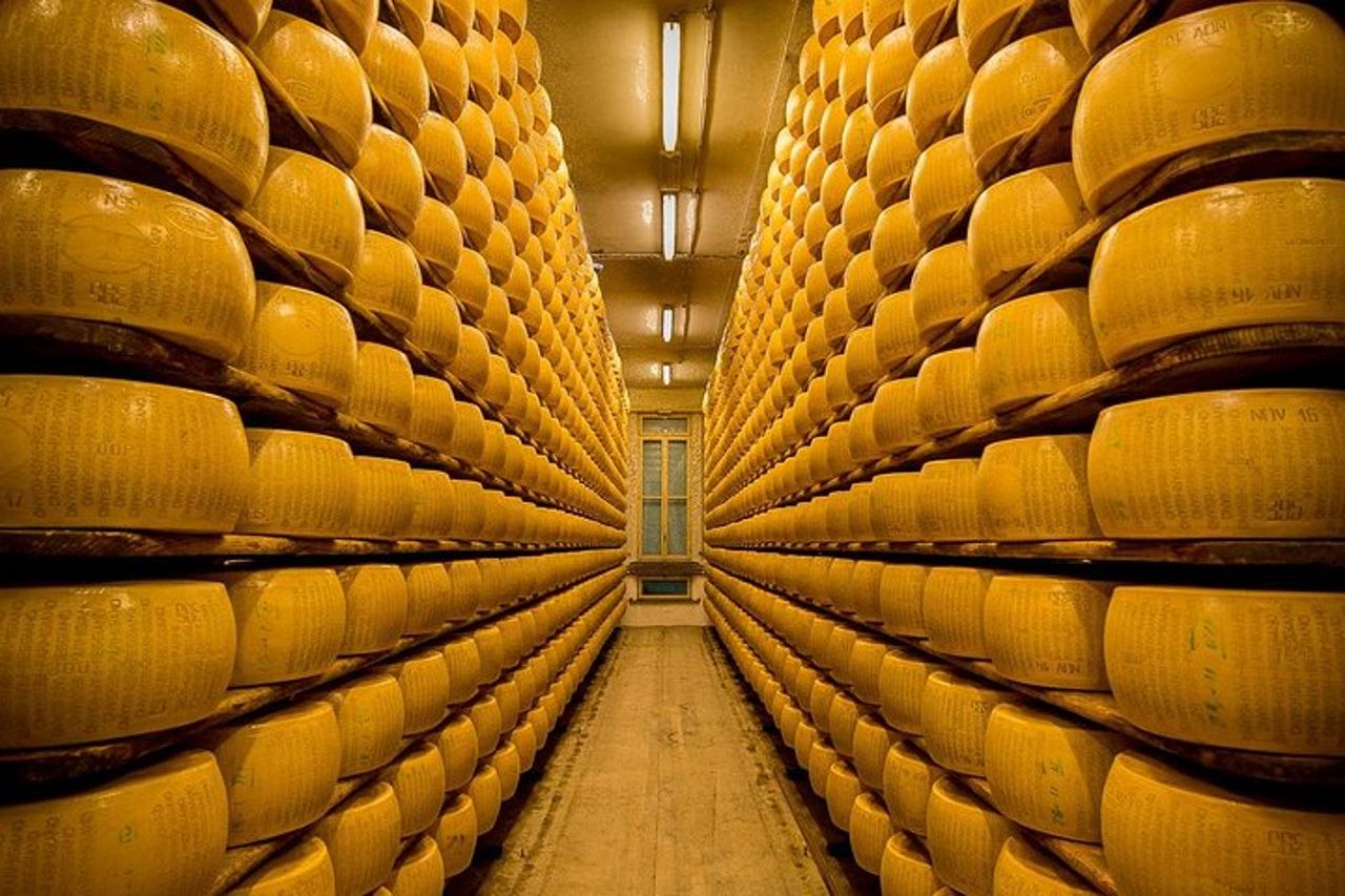 Tour del caseificio del Parmigiano Reggiano ed esperienza di degustazione — 3
