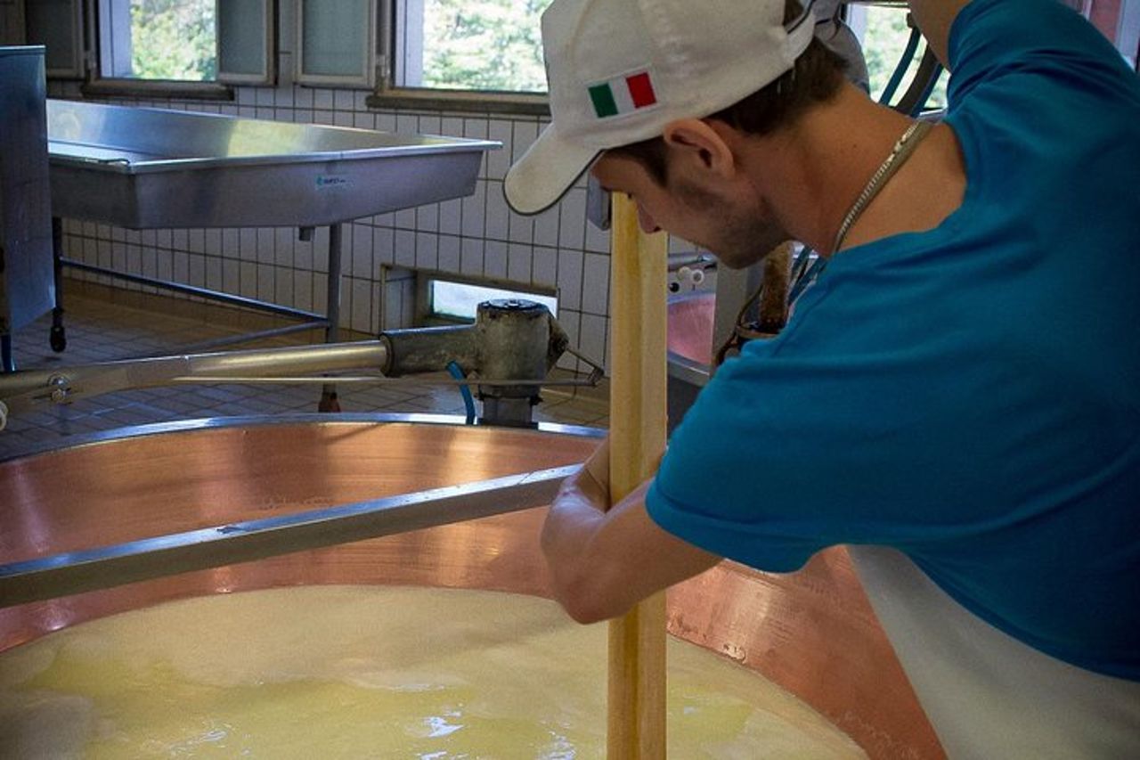 Tour del caseificio del Parmigiano Reggiano ed esperienza di degustazione — 9