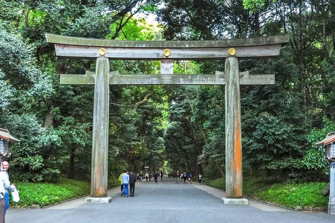Gita giornaliera privata a Tokyo: goditi la tua prima visita a Tokyo! — 7