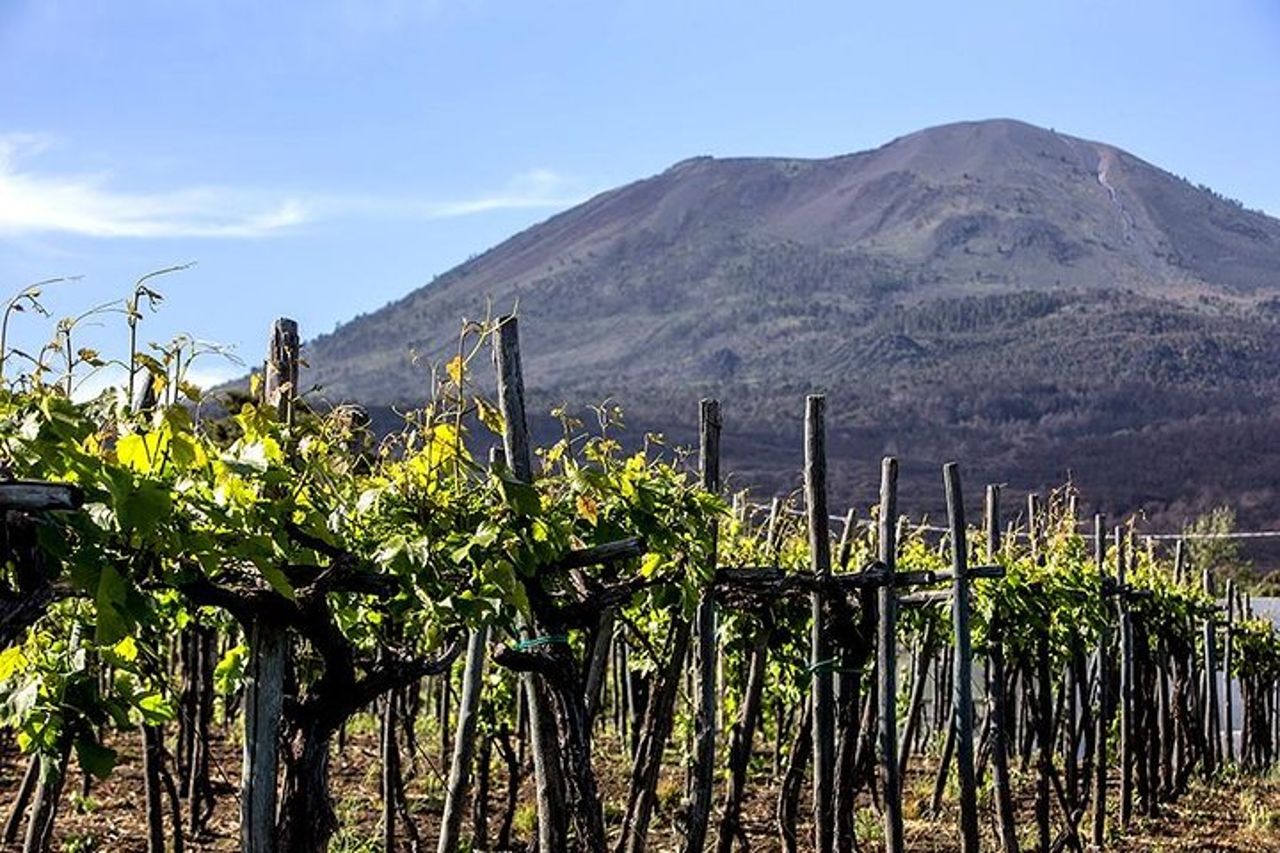 Tour privato del Monte Vesuvio e degustazione di vini con pranzo — 4