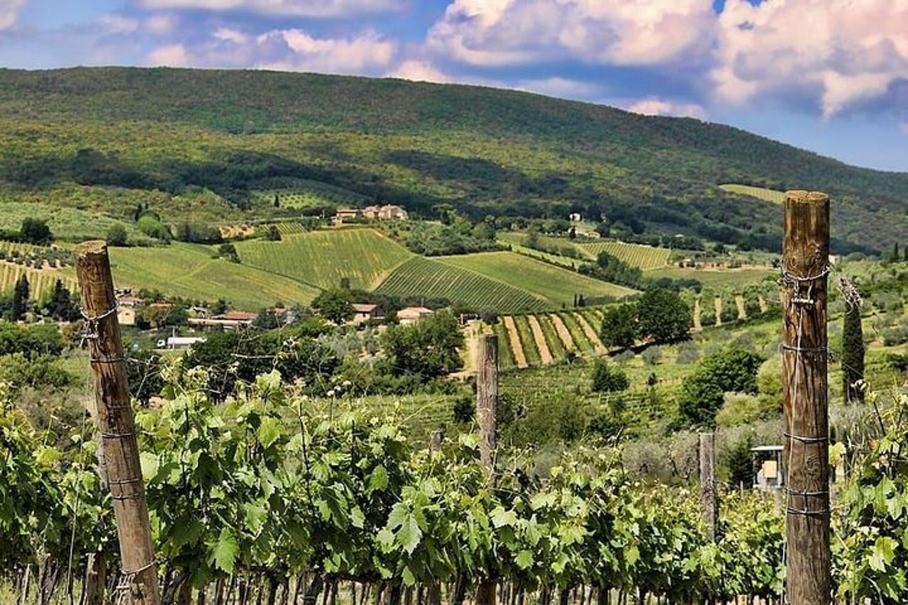 Chianti: eno-escursione tra le vigne — 3