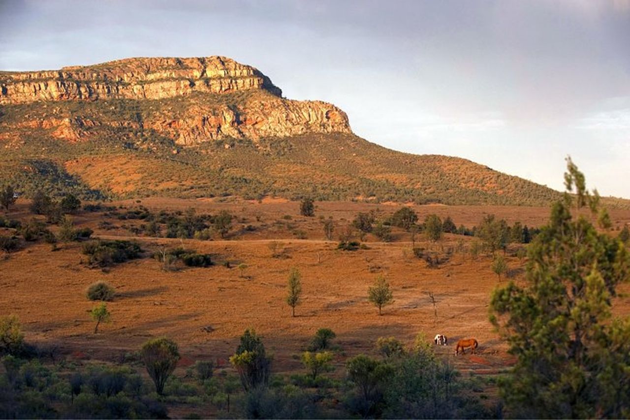 Tour ecologico in fuoristrada di 3 giorni per piccoli gruppi di Flinders Ranges da Adelaide — 6