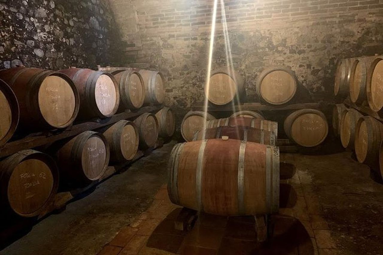 Tour privato del Chianti — 4
