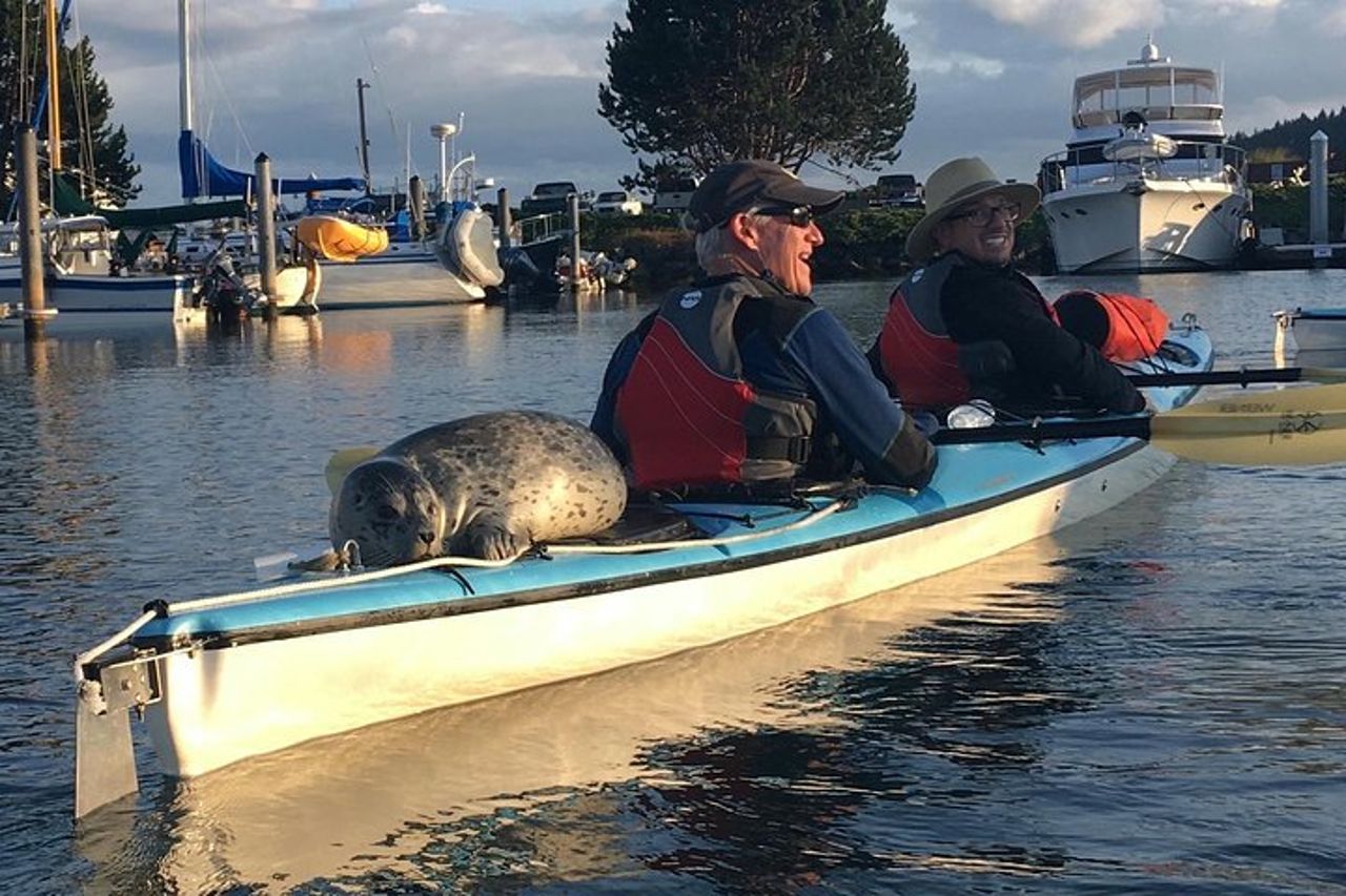 Tour di 3 ore in kayak da mare nelle isole di San Juan — 2