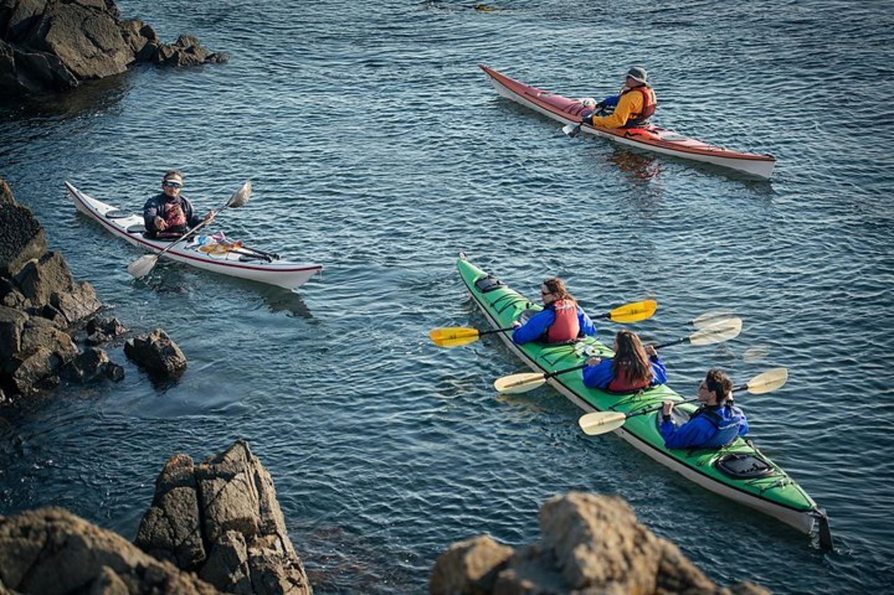 Tour di 3 ore in kayak da mare nelle isole di San Juan — 6