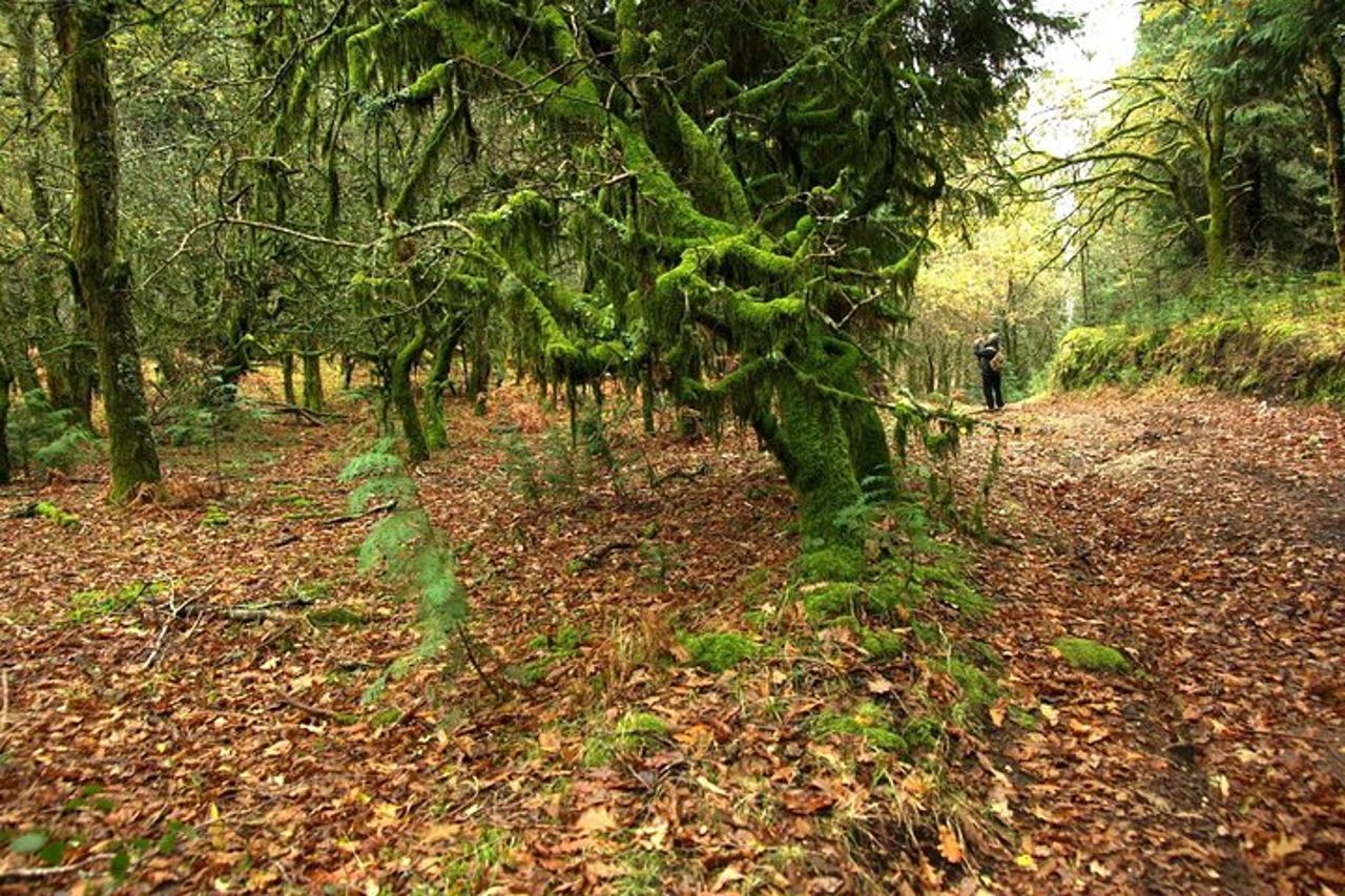 Area paesaggistica protetta del corno dell'ugello — 2