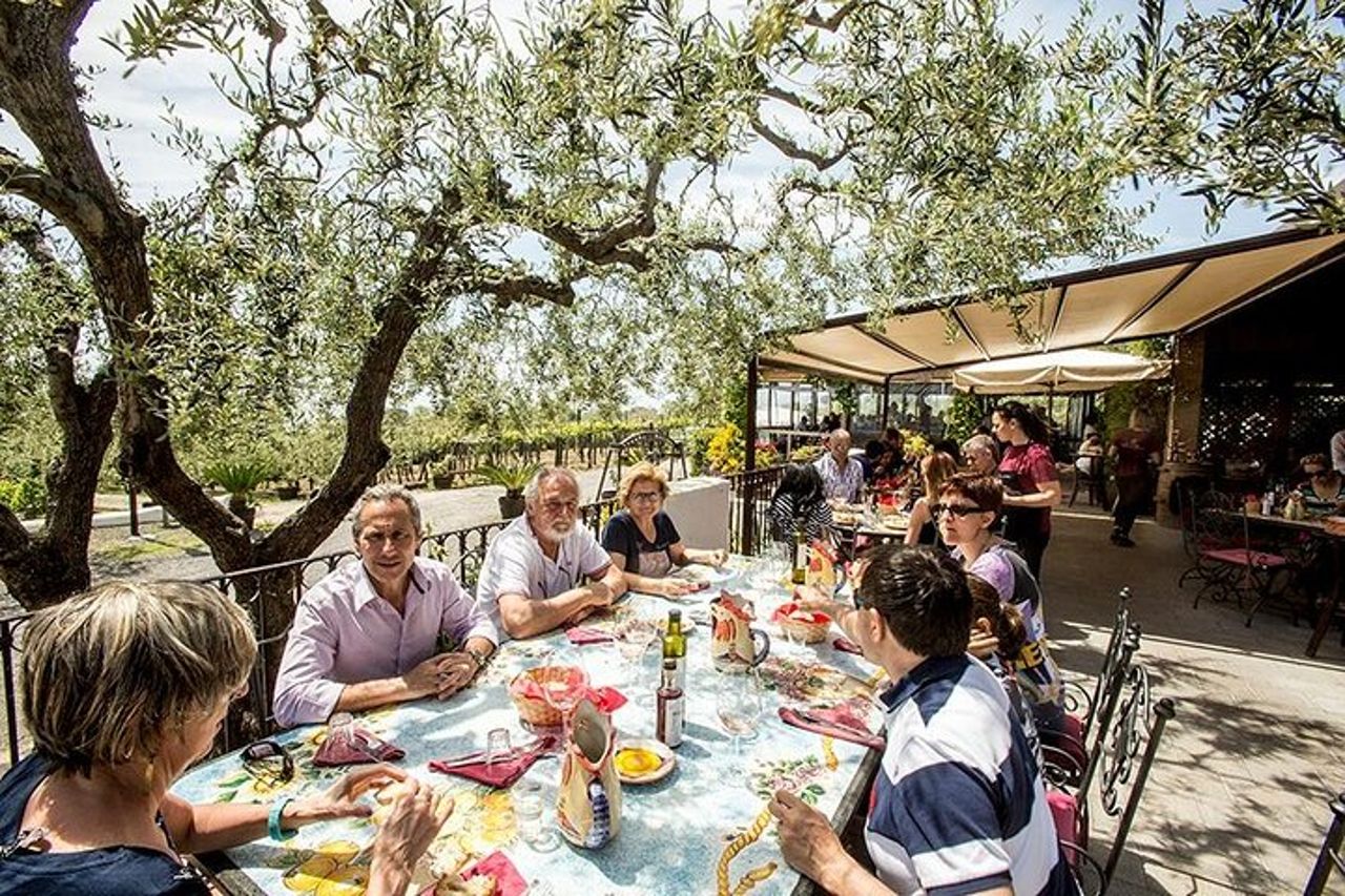 Tour privato del Monte Vesuvio e degustazione di vini con pranzo — 6