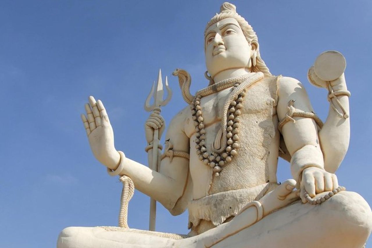 Scorci di fauna selvatica e tour del Gandhi Gujarat Tour (10 giorni) — 4