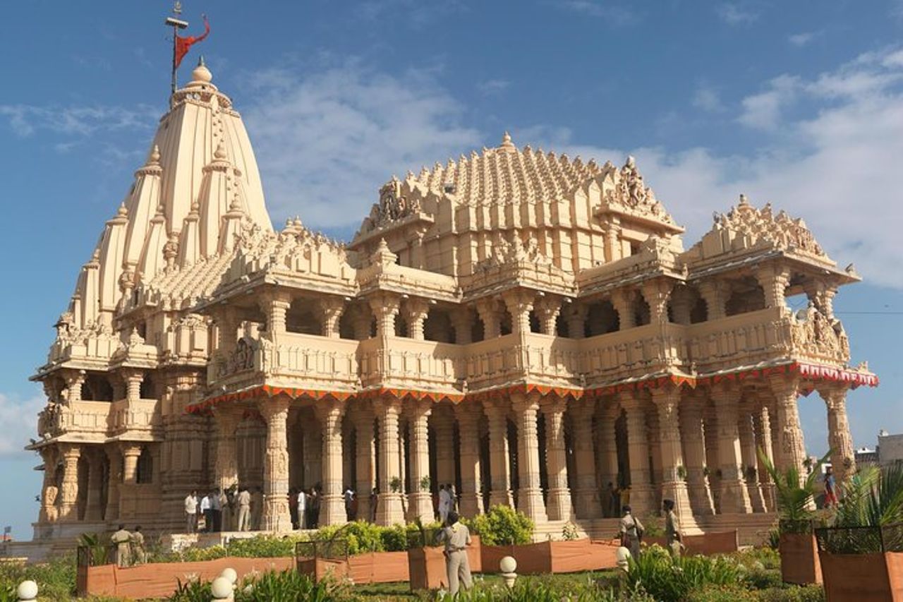 Scorci di fauna selvatica e tour del Gandhi Gujarat Tour (10 giorni) — 3