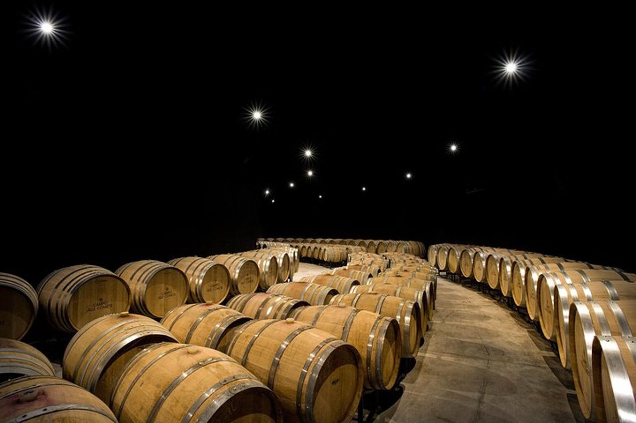 Da Firenze PRIVATO: Bolgheri Wine Tour, degustazione tra le colline costiere toscane — 8