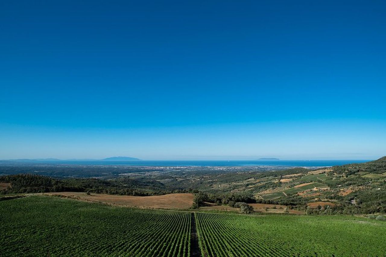 Da Firenze PRIVATO: Bolgheri Wine Tour, degustazione tra le colline costiere toscane — 4