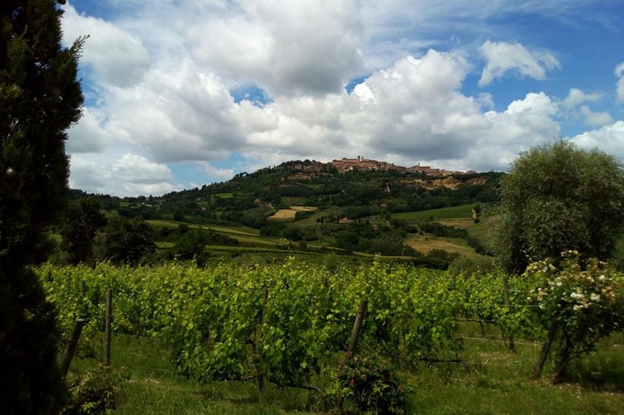 Escursione a Montalcino e Pienza in Toscana Wine & Cheese Shore dal porto di Civitavecchia — 8