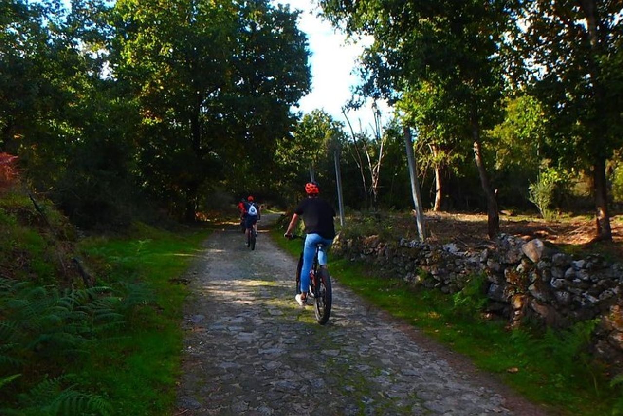E-Bike Tour senza guida: Camino de Santiago — 3