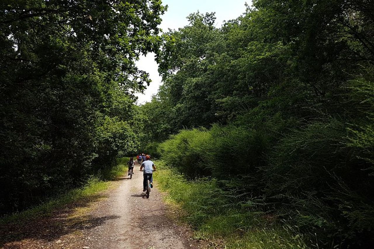 E-Bike Tour senza guida: Camino de Santiago — 5