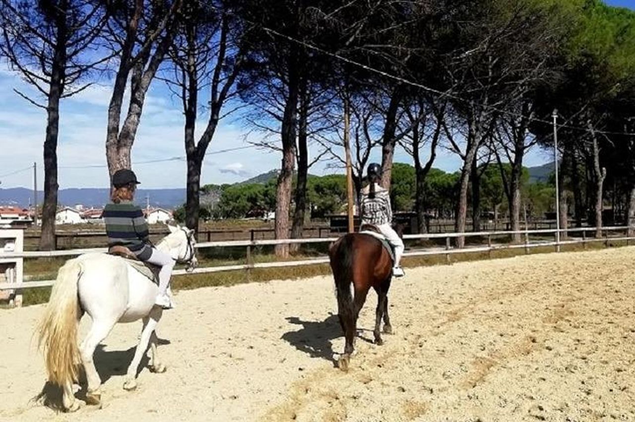 Piccolo gruppo di equitazione vicino a Lucca — 4