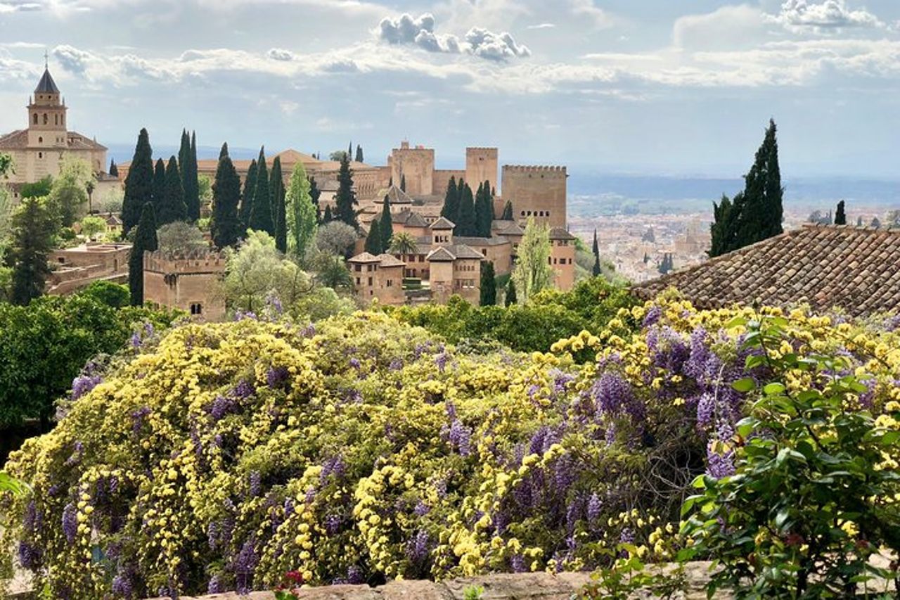 Tour privato dell'Alhambra da Almeria: con trasporto e biglietti salta fila — 4