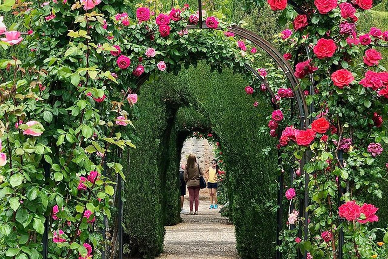 Tour privato dell'Alhambra da Almeria: con trasporto e biglietti salta fila — 6