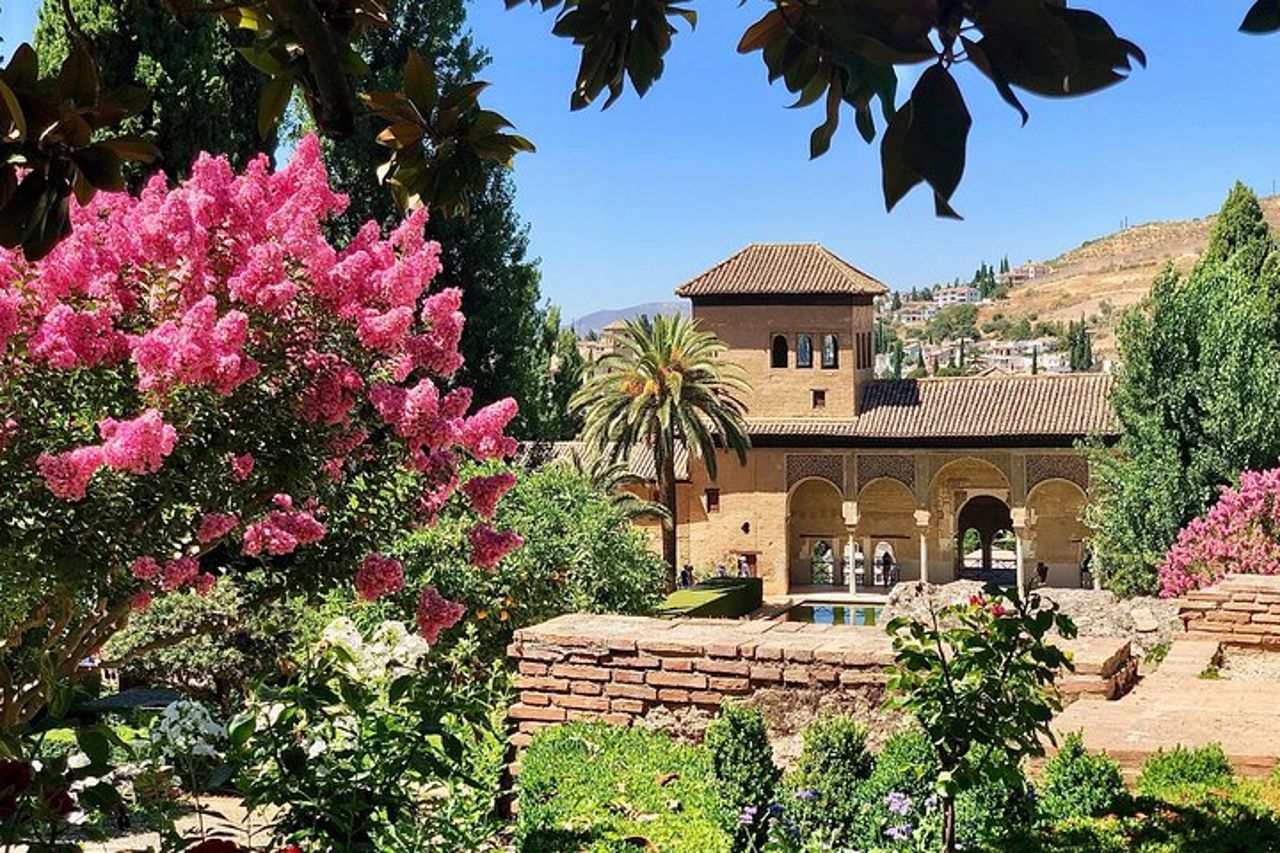 Tour privato dell'Alhambra da Almeria: con trasporto e biglietti salta fila — 7