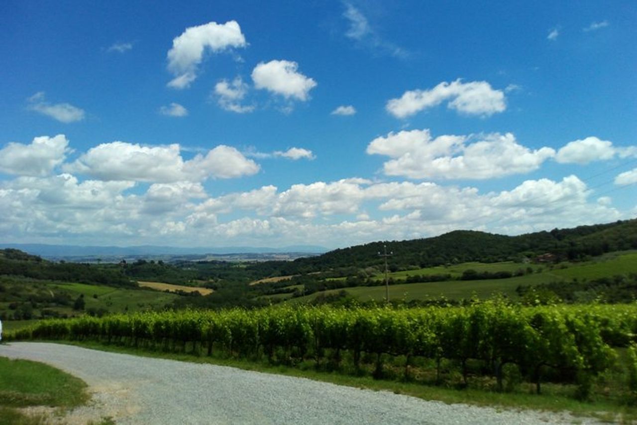 Escursione a Montalcino e Pienza in Toscana Wine & Cheese Shore dal porto di Civitavecchia — 4