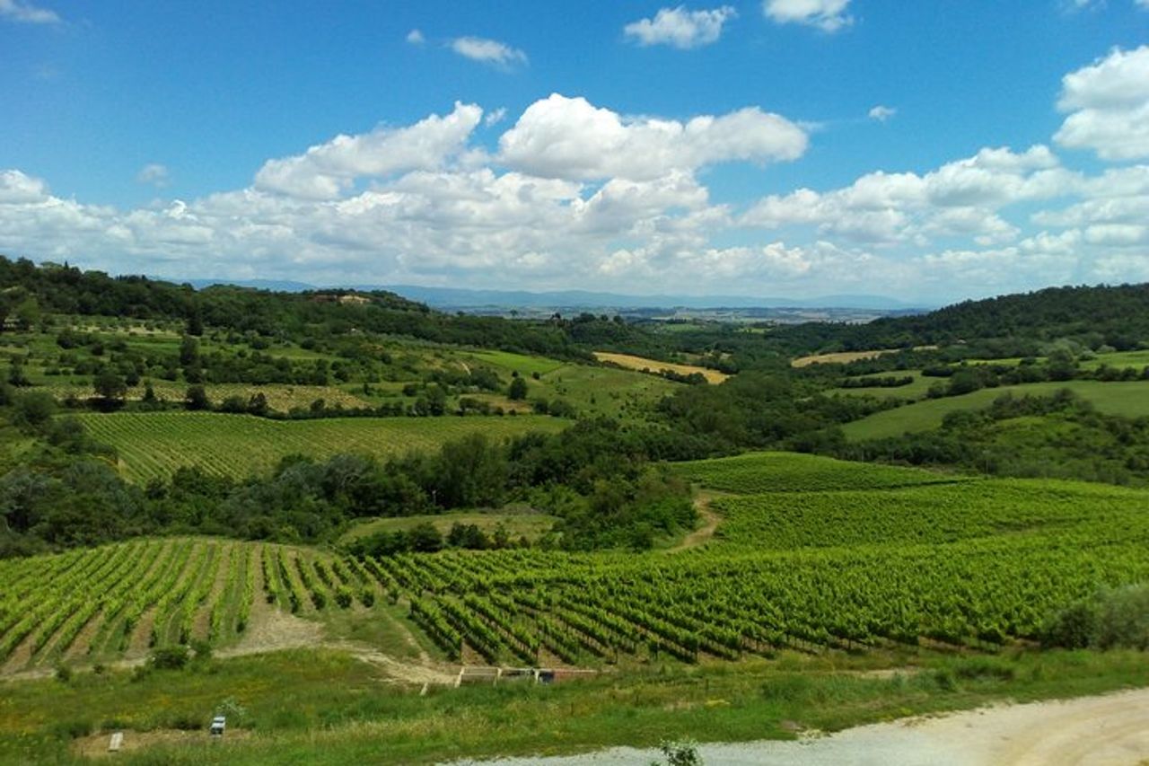 Escursione a Montalcino e Pienza in Toscana Wine & Cheese Shore dal porto di Civitavecchia — 7