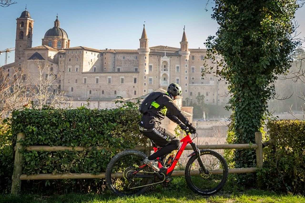 Tour nelle Marche di Raffaello Sanzio: Arte, Natura, Enogastronomia — 3