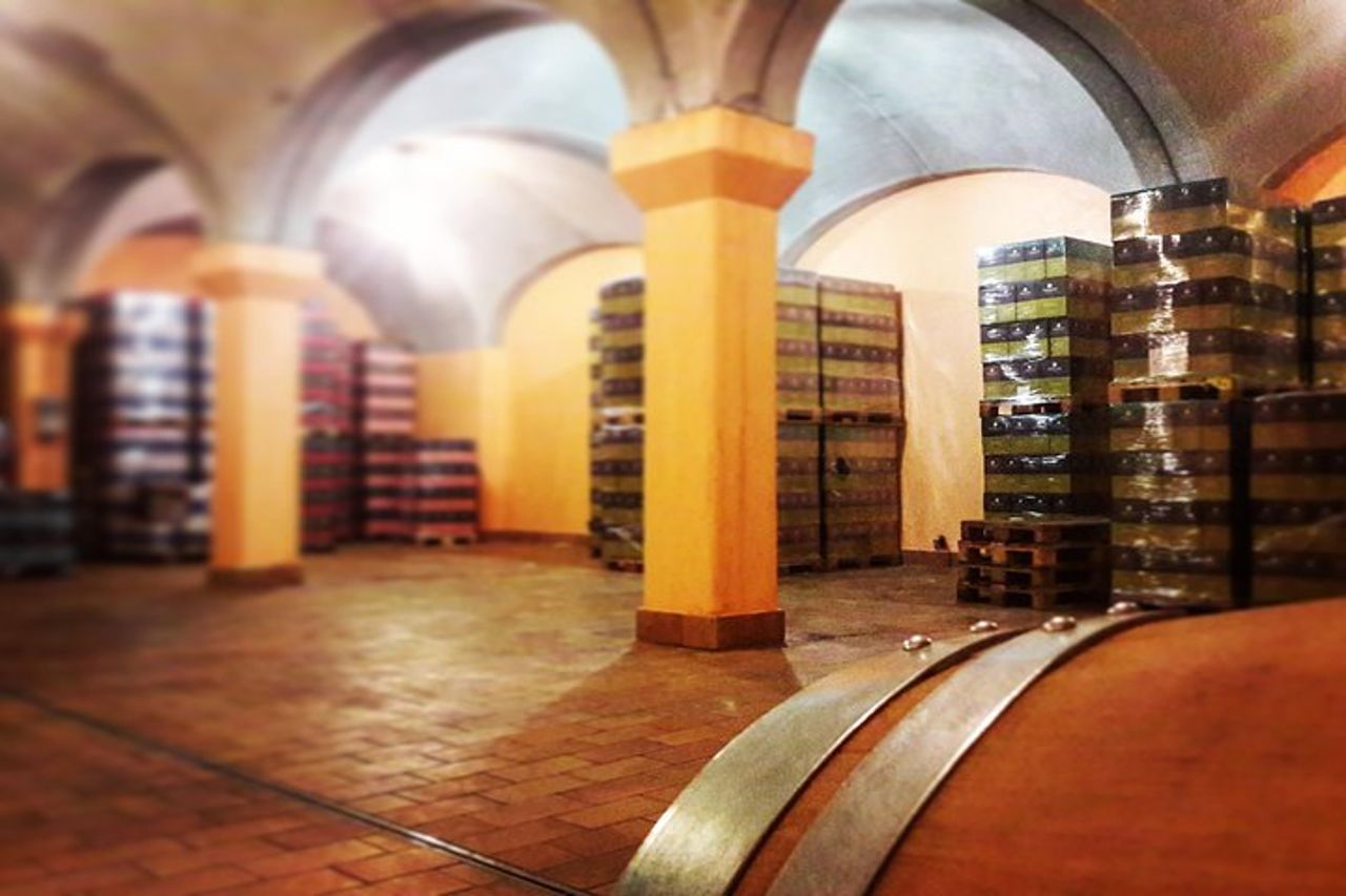 Tour in Cantina con Degustazione — 7