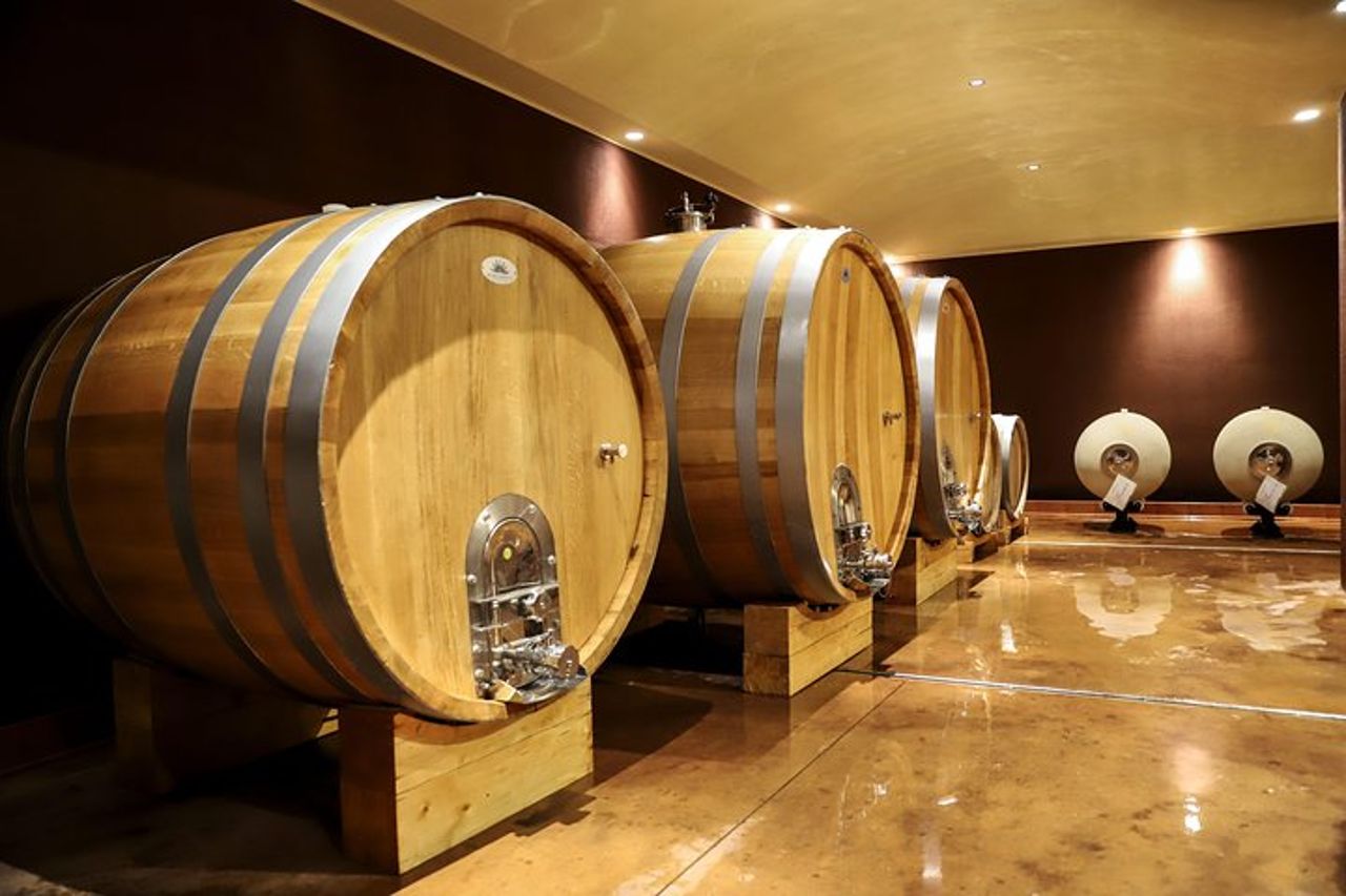 Lago di Garda: Visita guidata in cantina vinicola e degustazione a Bardolino — 4