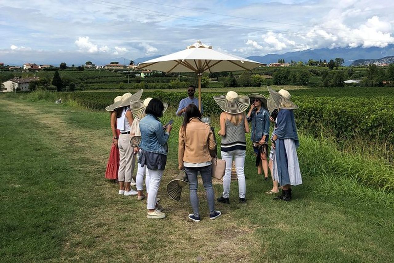 Lago di Garda: Visita guidata in cantina vinicola e degustazione a Bardolino — 3