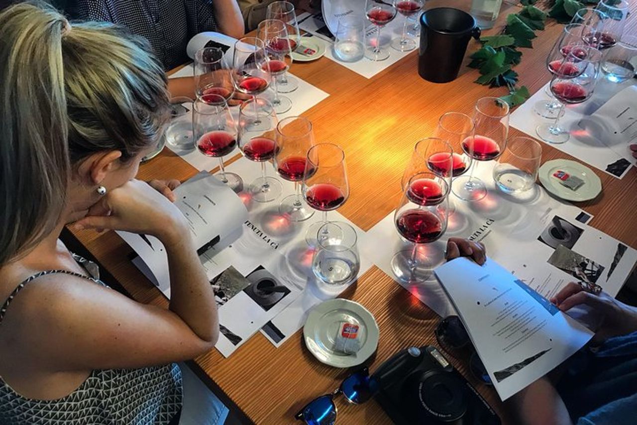 Lago di Garda: Visita guidata in cantina vinicola e degustazione a Bardolino — 5