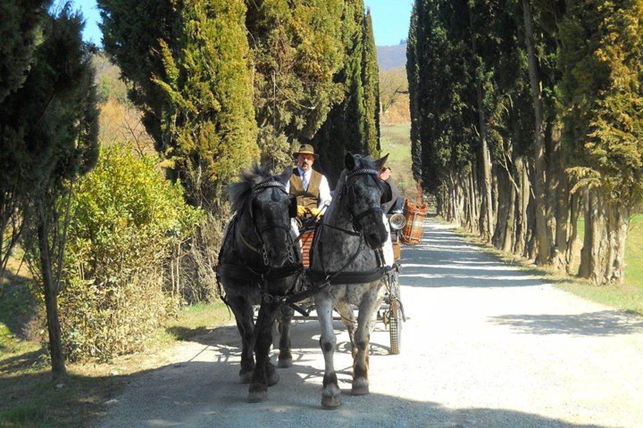 Giro in carrozza e pranzo in un ristorante tipico nel cuore del Chianti — 3