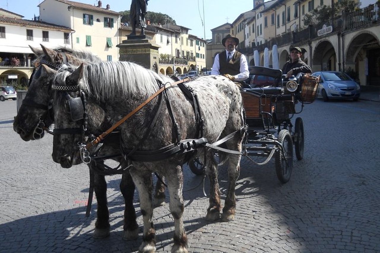 Giro in carrozza e pranzo in un ristorante tipico nel cuore del Chianti — 5