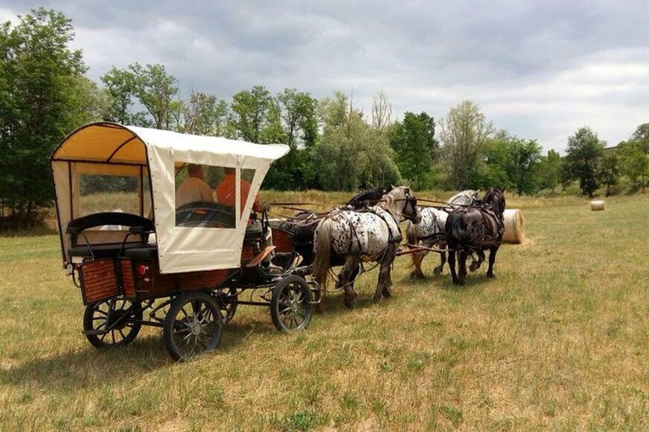 Giro in carrozza e pranzo in un ristorante tipico nel cuore del Chianti — 6