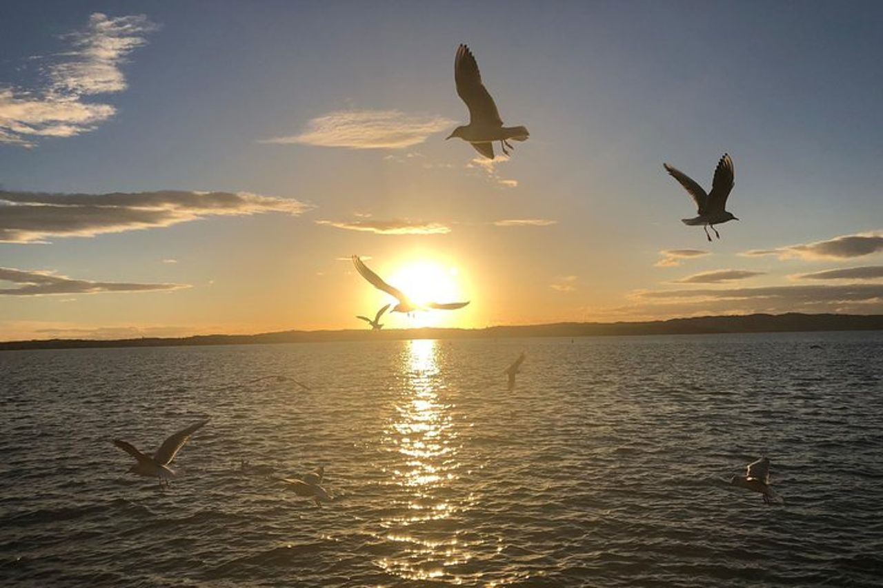 Tour al tramonto a Sirmione — 8